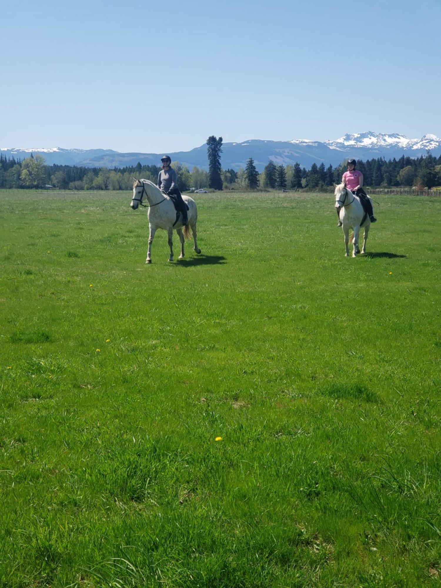 Paradise Acres Ranch Nanoose Bay Exterior foto